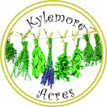 Kylemore Acres